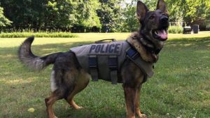 rookie-2-e1468530050606